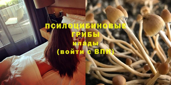 мяу мяу мука Балахна