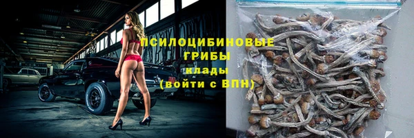 spice Балабаново