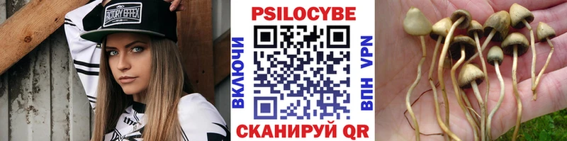 закладка Красный Холм ОМГ ОМГ онион Галлюциногенные грибы Cubensis